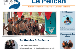 La Newsletter est disponible !